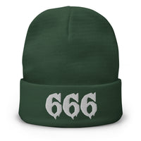 Green cuffed beanie with White 666 embroidered artwork, front view