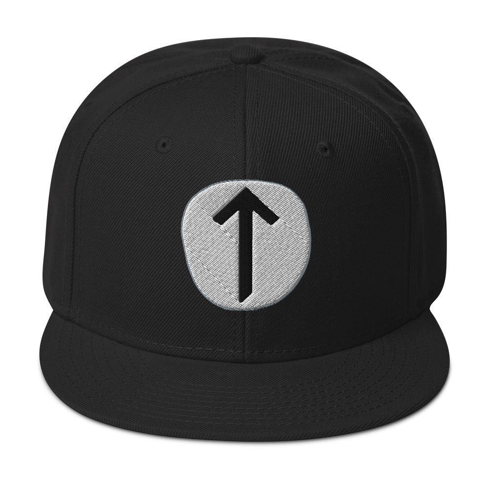 Tiwaz Rune embroidered snapback hat, product image 1