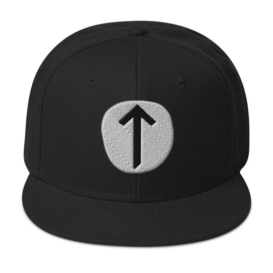 Tiwaz Rune embroidered snapback hat, product image 1
