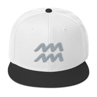 Zodiac Sign Aquarius Embroidered Flat Bill Cap embroidered snapback hat, product image 33