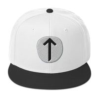 Tiwaz Rune embroidered snapback hat, product image 9