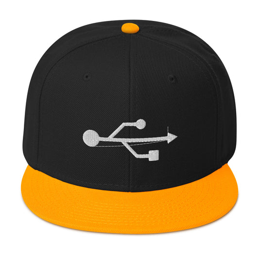 USB Symbol Embroidered Universal Serial Bus Flat Bill Cap embroidered snapback hat, product image 1