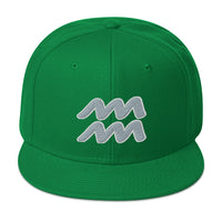 Zodiac Sign Aquarius Embroidered Flat Bill Cap embroidered snapback hat, product image 29