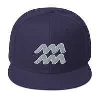 Zodiac Sign Aquarius Embroidered Flat Bill Cap embroidered snapback hat, product image 19