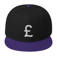 The British Pound Sterling Symbol Money Currency Embroidered Flat Bill Cap embroidered snapback hat, product image 5