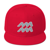 Zodiac Sign Aquarius Embroidered Flat Bill Cap embroidered snapback hat, product image 23