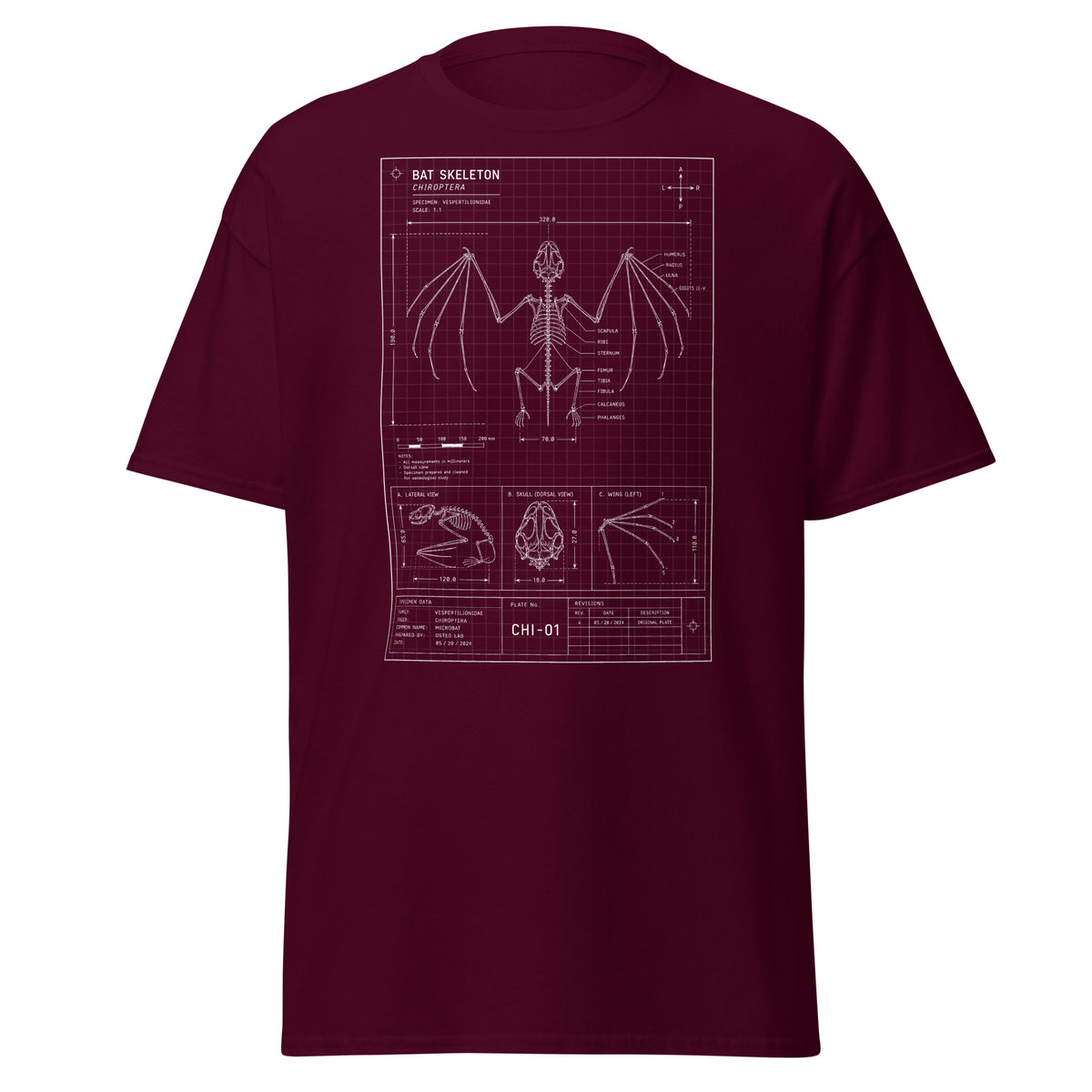 Bat Skeleton Blueprint design on unisex T-shirt, front view