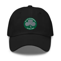Silver Shamrock Novelties embroidered dad hat, product image 1