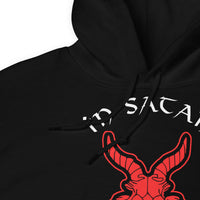 In Satan We Trust 666 Goat Head design on unisex hoodie, detail view