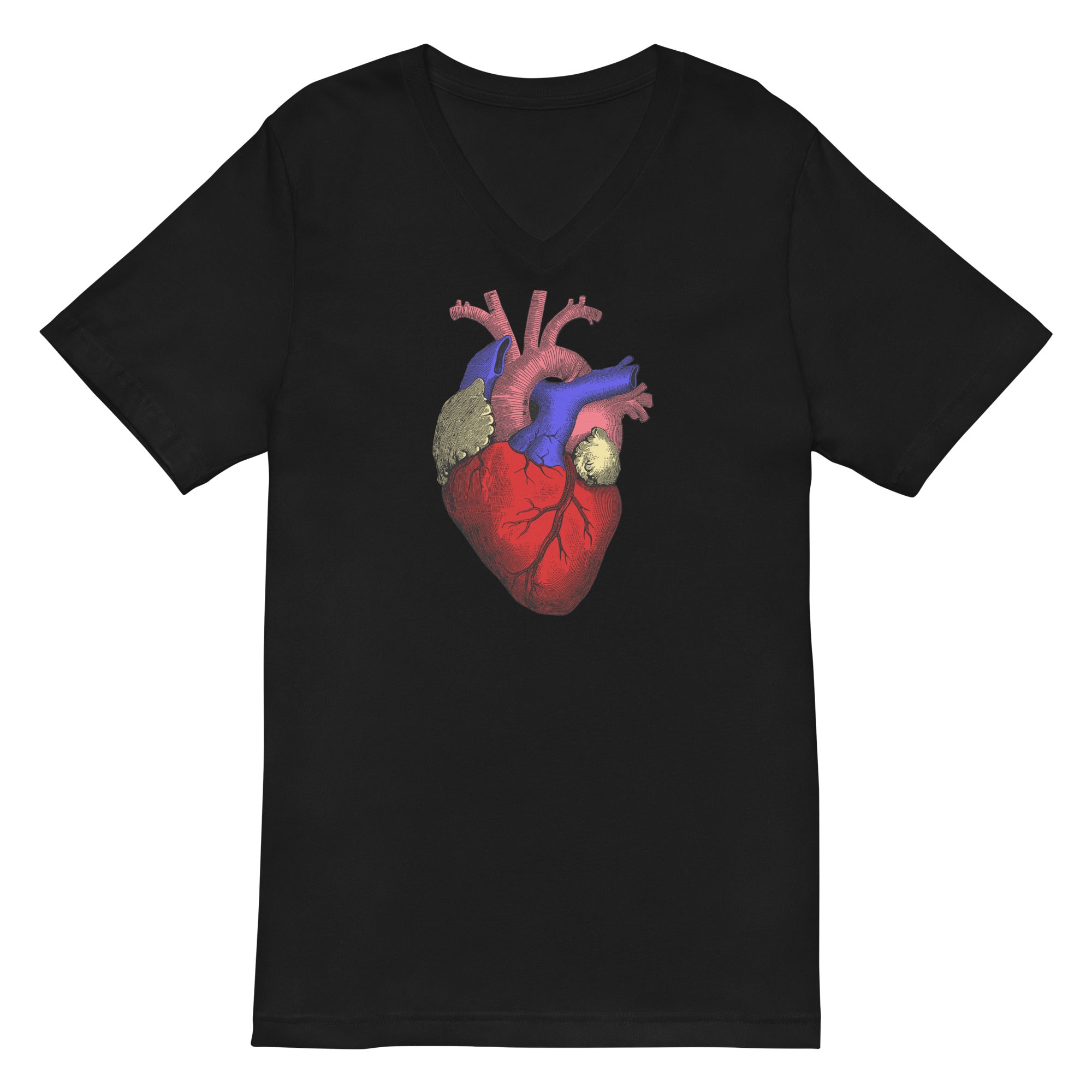 Anatomical Human Heart Medical Art Women’s Short Sleeve V-Neck T-Shirt - Edge of Life Designs