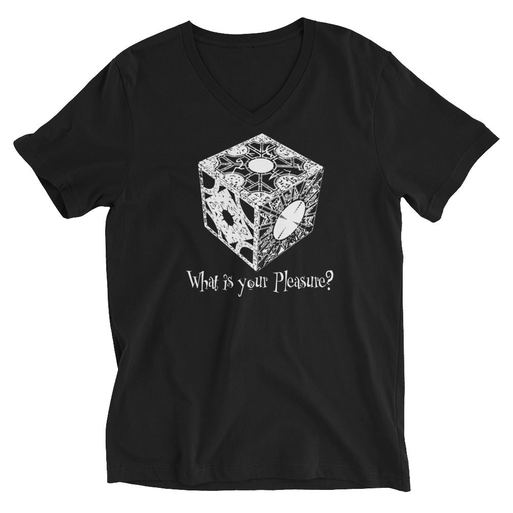 Puzzle Box - What is your Pleasure? Women’s Short Sleeve V-Neck T-Shirt - Edge of Life Designs